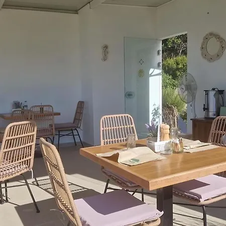 San George Cove Afión